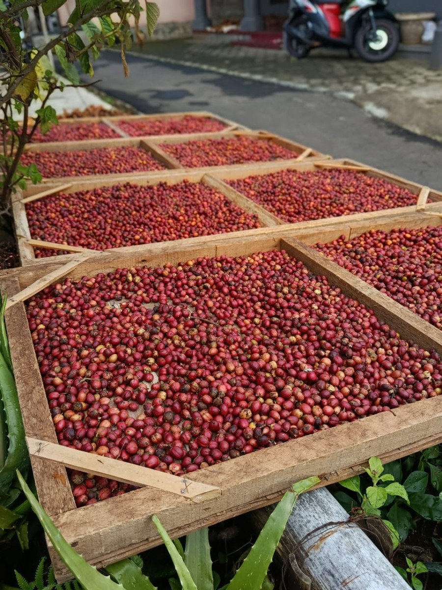 Berita